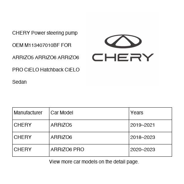CHERY Power steering pump OEM M113407010BF FOR ARRIZO5 ARRIZO6 CIELO M113407010BF-CHERY_OEM